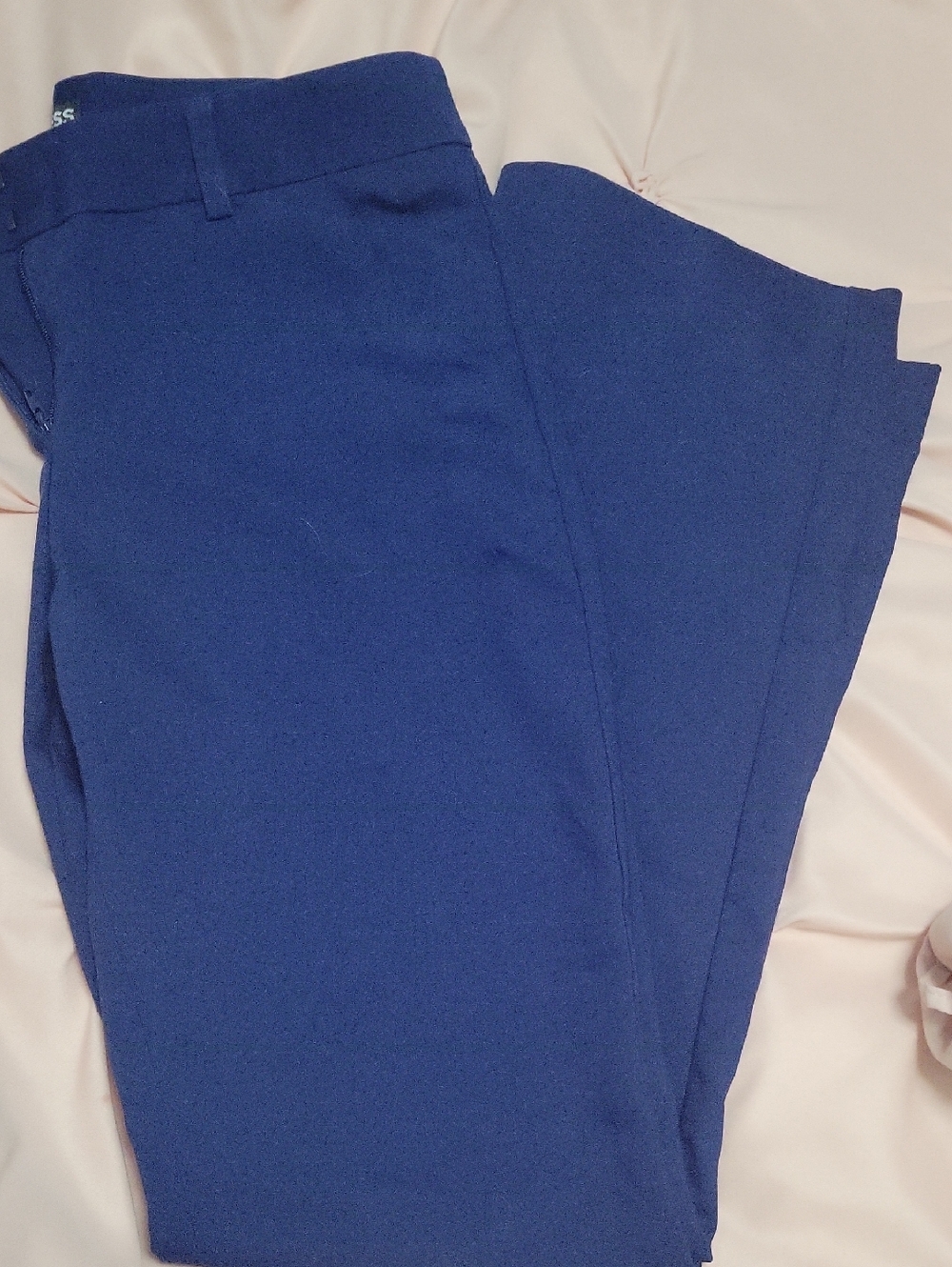 Express Editor Blue Pants